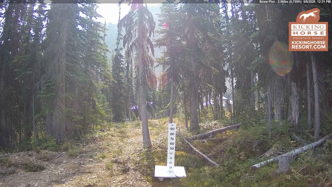 https://livepow.com/img/resort/kickinghorse-SnowPlot-12.jpg?=2025Oct13