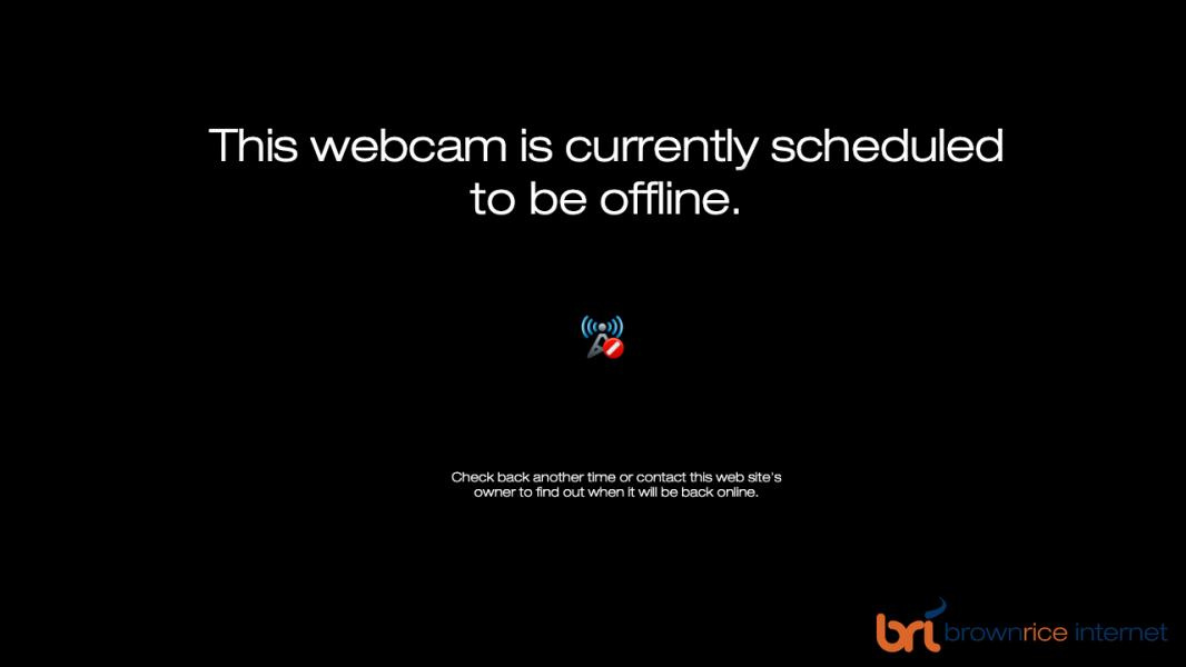 Not Available