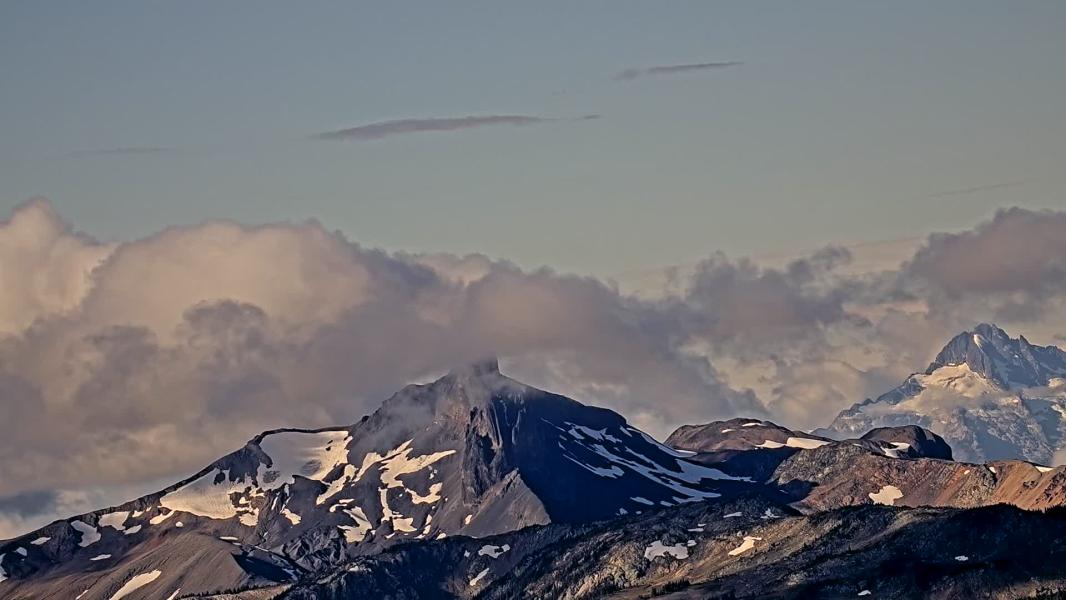 Not Available